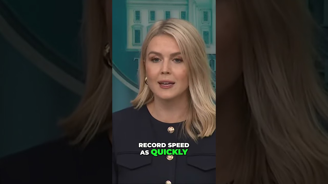 Deporting Illegal Criminals: Record Speed Under Title VIII