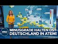 WELT WETTER: Bittere Minusgrade halten den Osten in Atem! Winter-Witterung hält am Wochenende an