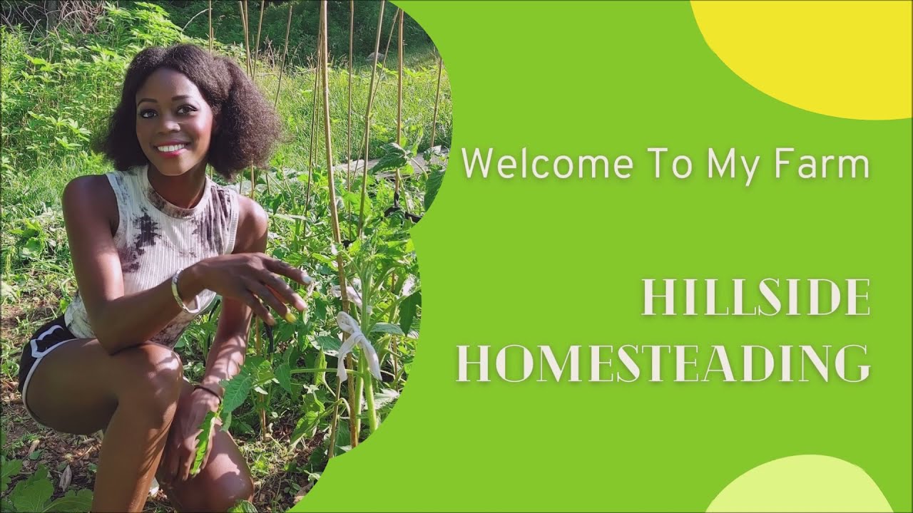 Full One Acre Homestead Property Tour Plus Moving The Livestock To New Pasture!