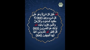 Surah Al Zumer سورة الزمر      #nuralsalam#miqat01#mehmet #المصحف  #القارئ #اكسبلور #quran