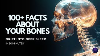 Your Body's Hidden Strength Revealed in 100+ Facts: Fall Asleep to Skeletal System Anatomy in 60 min