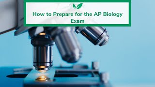 How to Prepare for the AP Biology Exam
