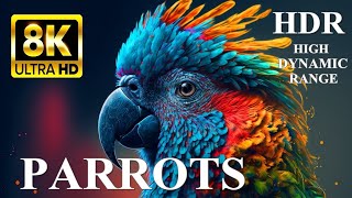 MOST BEAUTIFUL PARROTS 8K Ultra HD HDR Dolby Vision by 8K VIDEOS HDR 10,170 views 3 months ago 12 minutes, 20 seconds