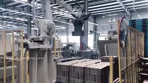 Automatic paper cardboard carton box robot hand palletizing machine palletizer equipment