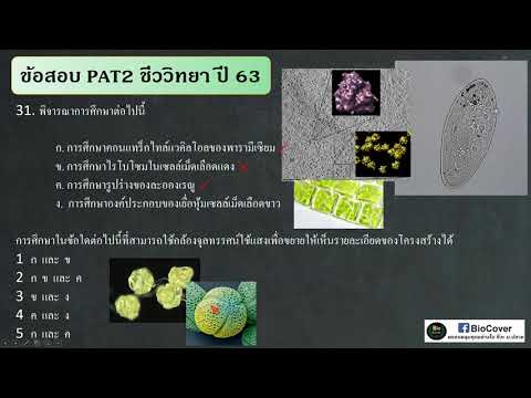 เฉลยข้อสอบ PAT2 ชีววิทยา ปี 63 ข้อ 31 : การเลือกกล้องจุลทรรศน์