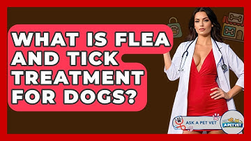 What Is Flea And Tick Treatment For Dogs? - Ask A Pet Vet