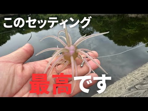 Bass Fishing] Here's how to use the Koike Full Cast [Soft Material
