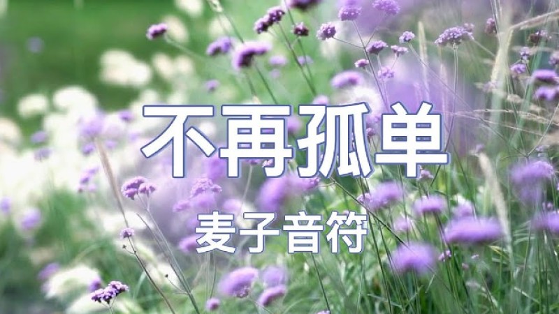 不再孤单 | 一首温柔深情的诗歌，唱给每个感到孤单的人，轻轻述说：耶稣一直都在，祂爱你，寻找你，作挽回祭，把你带回天父的家。