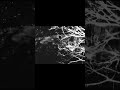new LP by Through a Glass, Darkly #doomgaze #postrock #ambientmusic #newmusic