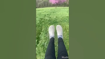 Random video  ||  The app is called Moshup if you wanna try  ||  Video idea from @SCRT