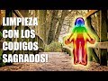 LIMPIEZA DE 21 DIAS CON LOS CODIGOS SAGRADOS | COMPLETA (POTENCIADA)