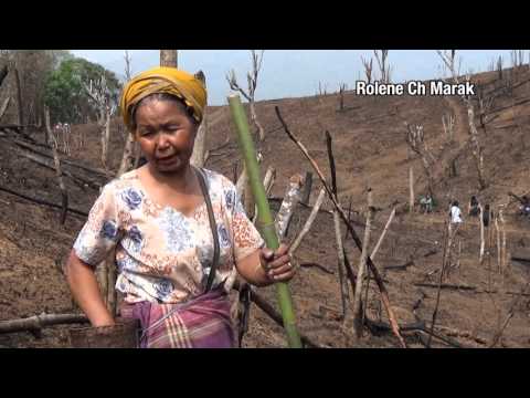Video: Kailan nagsimula ang shifting cultivation?