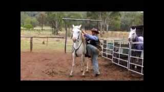 Arab mare 1 week.flv