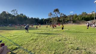 IMG 2543