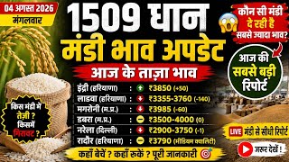 1509 Paddy Price Today | 1509 Dhan Mandi Bhav Today | 04 August 2026 screenshot 4