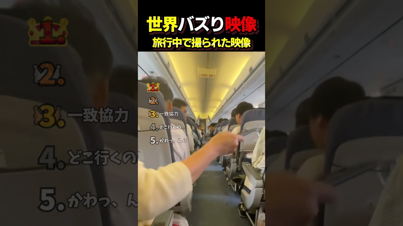 旅行中に偶然撮れた奇跡の映像ランキングTOP5
