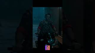 Calm Down Lololololo