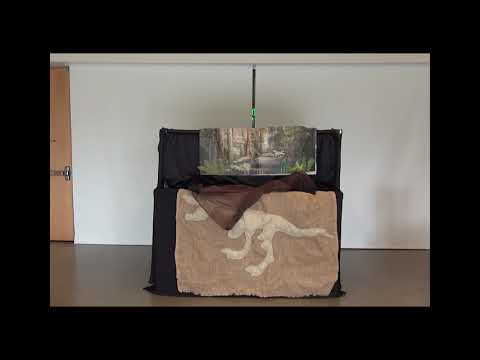 How a Fossil is Made: A Puppet Show | California Academy of Sciences - How a Fossil is Made: A Puppet Show | California Academy of Sciences