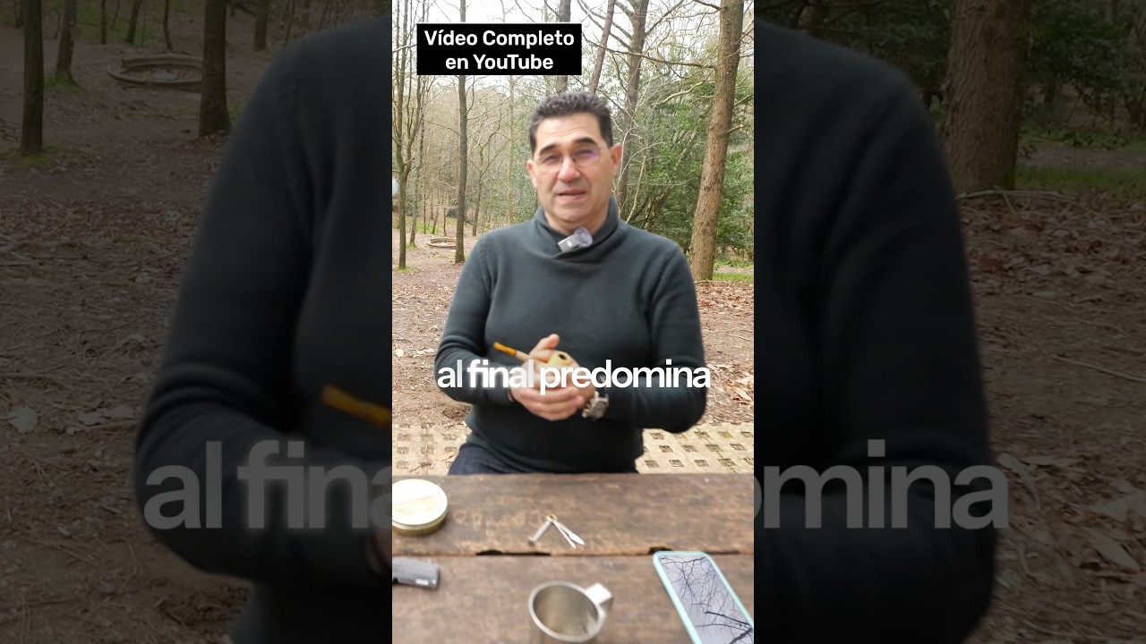 La Fruta Tropical con Aroma Irresistible