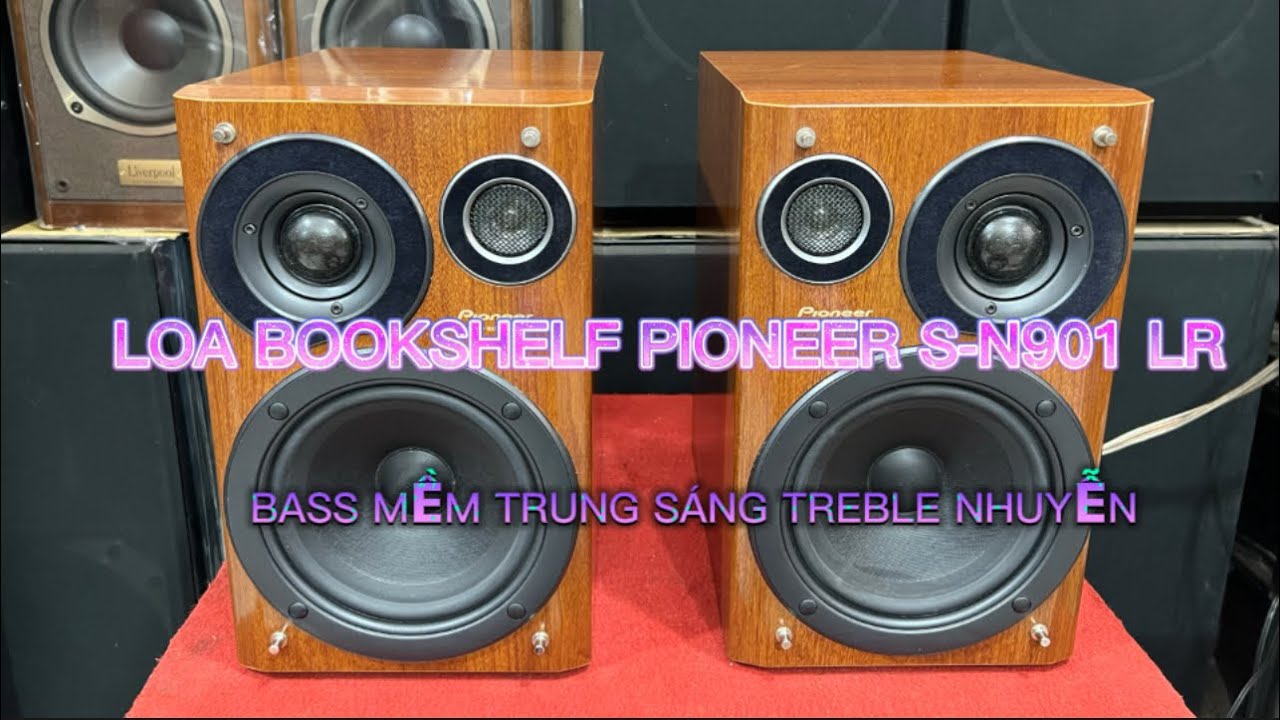 Pioneer パイオニア S-N901-LR スピーカーペア Pioneer S-N901-LR LR