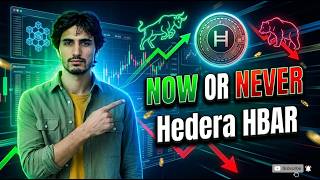 Hedera HBAR Critical Breaking News: Is This A Brutal Crypto Value Trap?