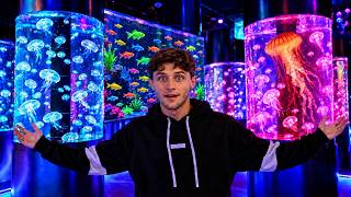 We Found A MUSEUM FULL Of EXOTIC SEA CREATURES!!