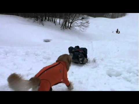 たかつえスノーシュー☆