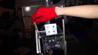 Vlog 6 Cascade Effect