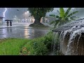 🔴LIVE Heavy rains hit Indonesia's fertile countryside||insomnia gone forever