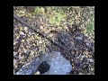 WW2 relic hunting, history revealed again #ww2 #relic #ww2metaldetector