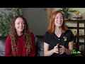 Dendritic Cells: Scishow Talk Show