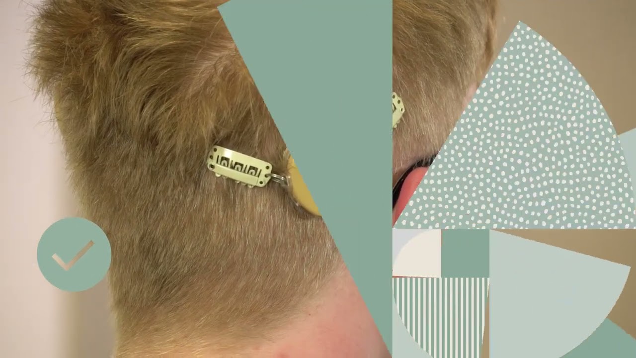 Kanso® 3 Nexa Sound Processor | How to attach and use Halo accessory | Cochlear