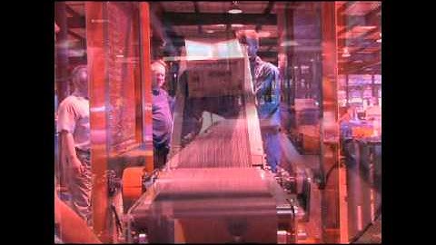 Roach Conveyor level selector