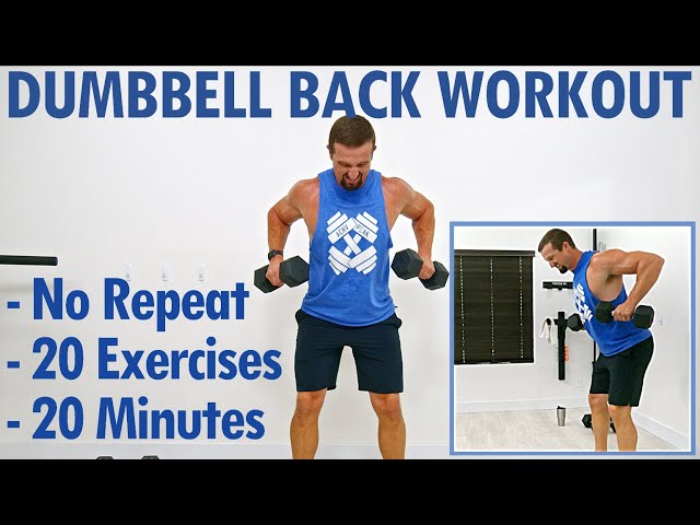 20 Minute Dumbbell Back and Biceps Workout at Home – 2 Lazy 4 the Gym