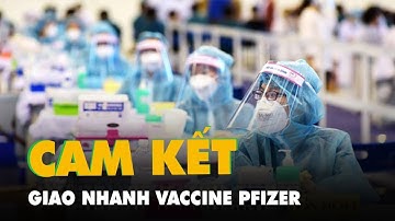 Pfizer cam kết đẩy nhanh tiến độ giao vắc xin cho Việt Nam trong tháng 8