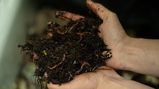 Composting (Different types of compost and what to think about)