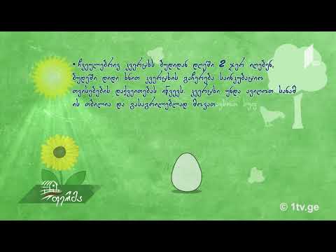 ვიდეო: რომელია საუკეთესო კვერცხის ჭამა?