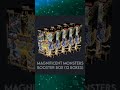 Magnificent Monsters Disaster #yugioh #yugiohtcg #yugiohcards