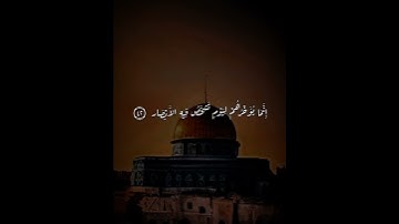 اكتب شيء تؤجر عليه 😴💚 قران كريم | محمد المنشاوي