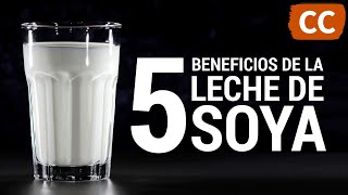5 Beneficios de la Leche de Soya | Ciencia de la Comida