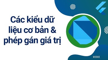 Các kiểu dữ liệu cơ bản & phép gán giá trị cho biến trong ngôn ngữ Dart | Flutter cơ bản