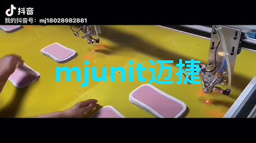 mjunit online gantry automatic dispensing with high speed for production assembly line, linear