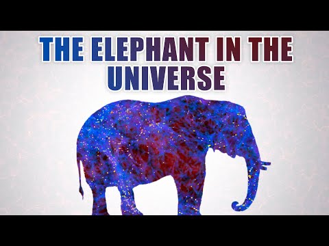 What is Dark Matter? Govert Schilling: The Elephant in the Universe