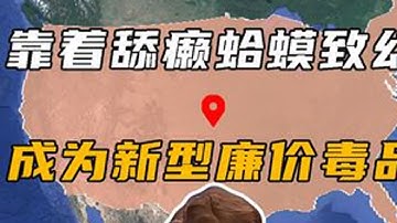 美国瘾君子多奇葩？靠着舔癞蛤蟆致幻，成为新型廉价毒品！ #地理知识 #科普 #文化 #发展 #美国舔蛤蟆
