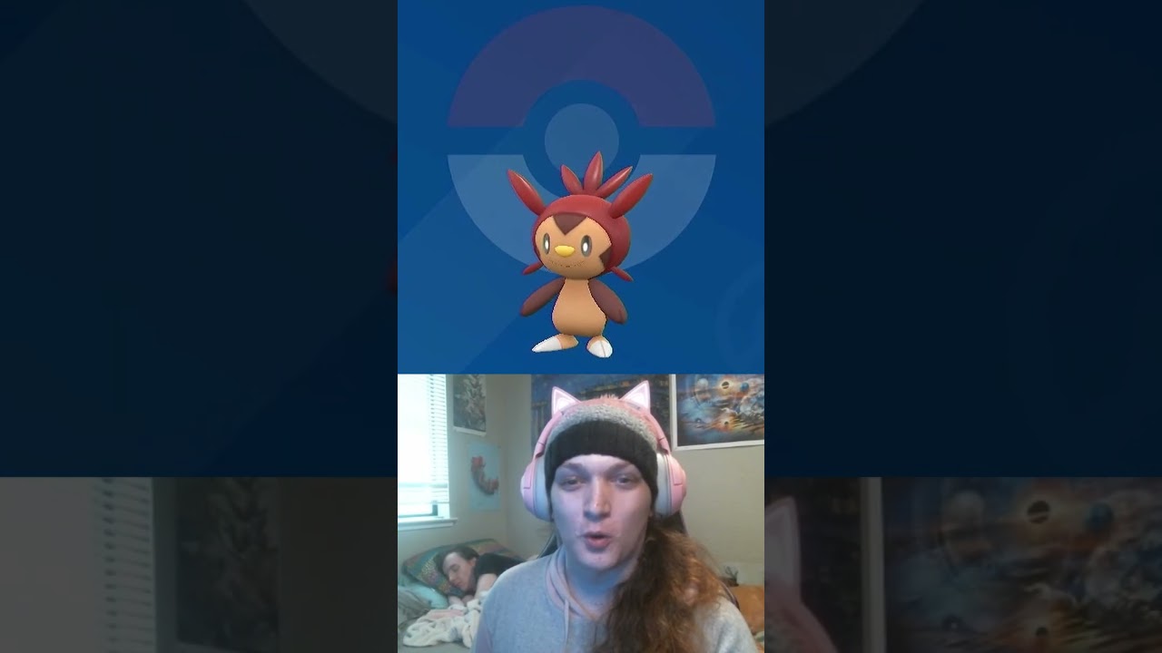 Personality Marked Shiny Chespin!  - SHINY SHOWCASE 