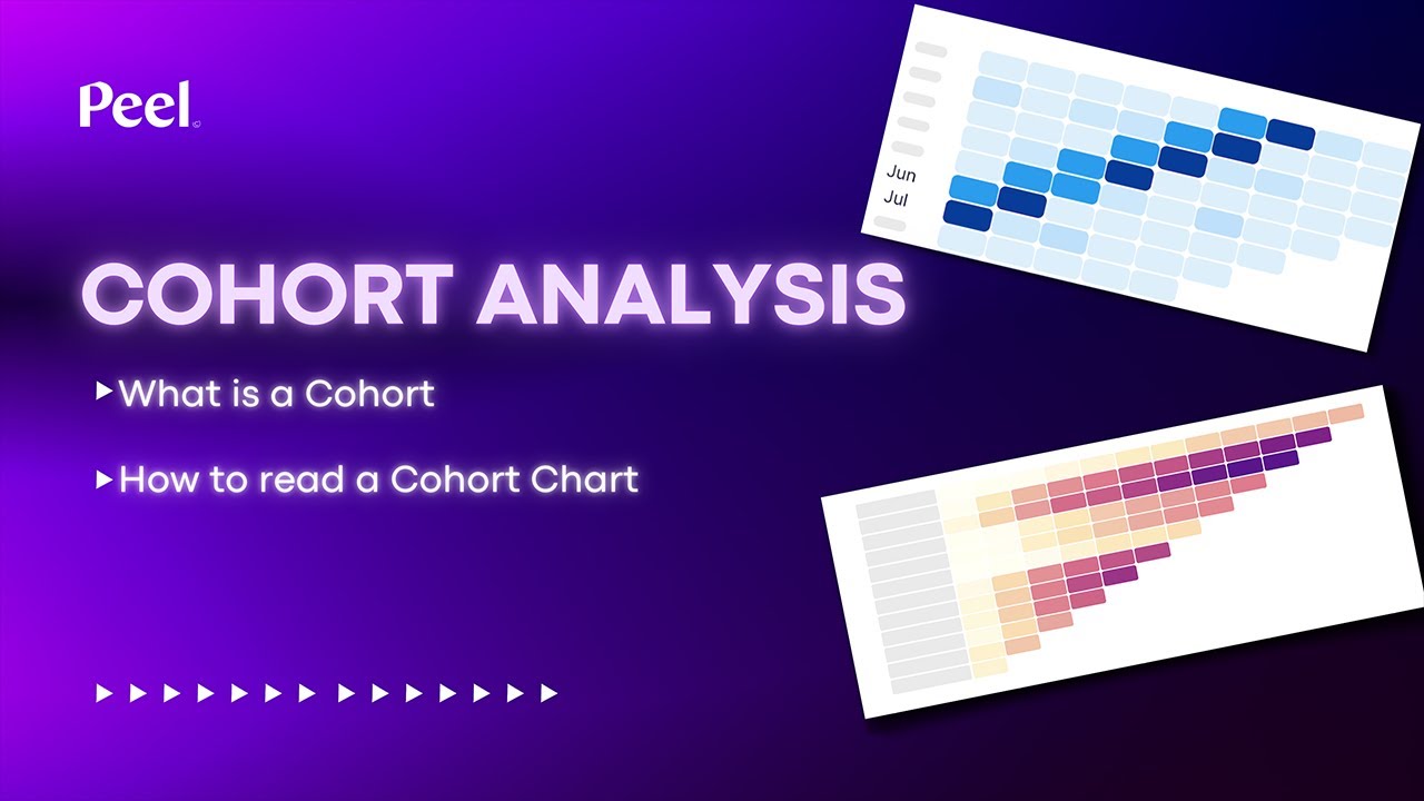 What is a Cohort? How to Read a Cohort Analysis Chart...