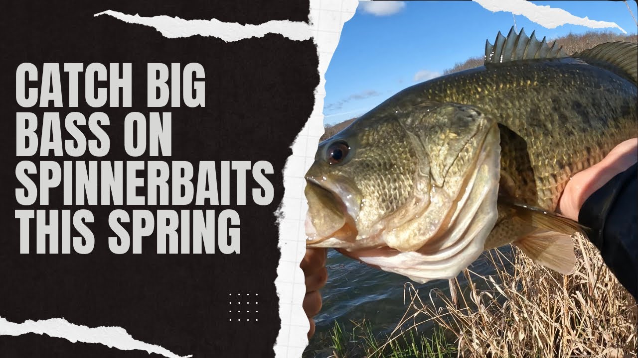 “Look At That Freaking Monster!” (Spring Bass Fishing With Spinnerbaits)