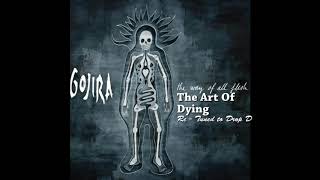 Gojira - The art of Dying [Re - Tuned to Drop D]
