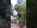 تو ا گئی ان کی یاد /  سپر فہیم شاہ  / Lo a Gai Unki Yad super Faheem Shah