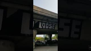 Ansoloose Crone Rollers